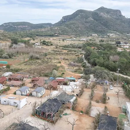Falaguera Barraca 1 * Bárig